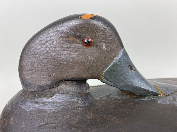 New Jersey Preener Black Duck (#6565)