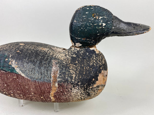 Rare Gundelfinger Shoveler Drake, All Original, Circa 1930's (#6575)