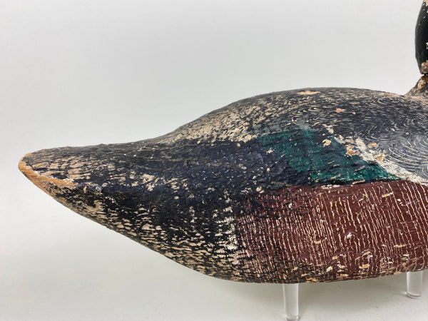 Rare Gundelfinger Shoveler Drake, All Original, Circa 1930's (#6575)