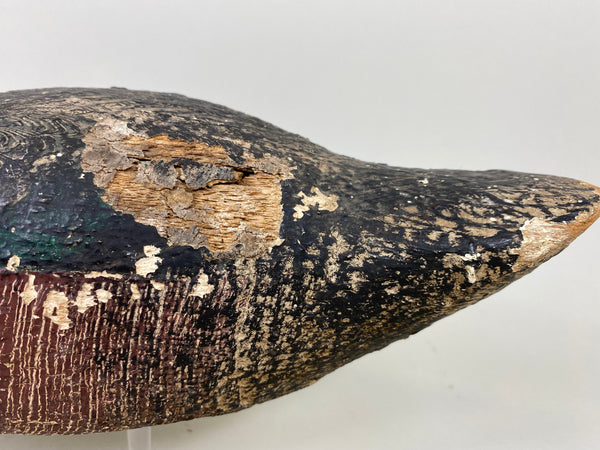 Rare Gundelfinger Shoveler Drake, All Original, Circa 1930's (#6575)