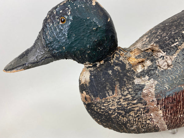 Rare Gundelfinger Shoveler Drake, All Original, Circa 1930's (#6575)