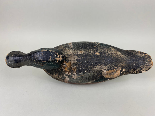 Rare Gundelfinger Shoveler Drake, All Original, Circa 1930's (#6575)