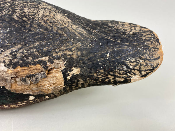 Rare Gundelfinger Shoveler Drake, All Original, Circa 1930's (#6575)