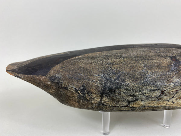 Long Island Duck Decoy (#6577)