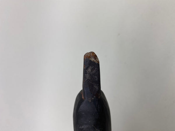 Long Island Duck Decoy (#6577)