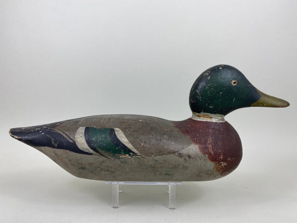 Mason Mallard Drake, Original Paint and Neck Filler (#6578)