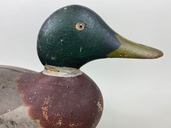 Mason Mallard Drake, Original Paint and Neck Filler (#6578)