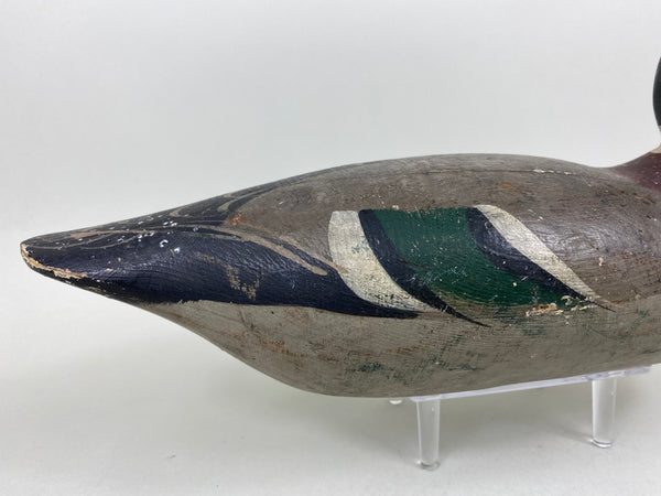 Mason Mallard Drake, Original Paint and Neck Filler (#6578)