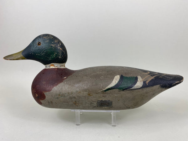 Mason Mallard Drake, Original Paint and Neck Filler (#6578)