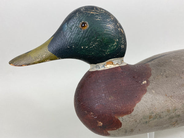 Mason Mallard Drake, Original Paint and Neck Filler (#6578)