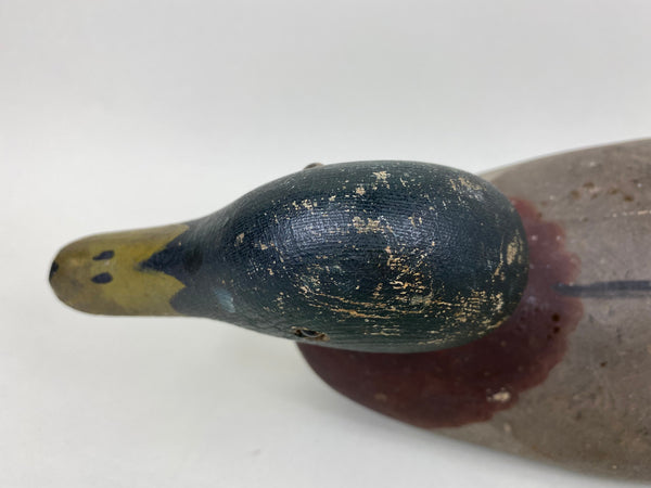 Mason Mallard Drake, Original Paint and Neck Filler (#6578)