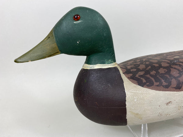 Charles Schoenheider Jr. Mallard Drake (#6588)