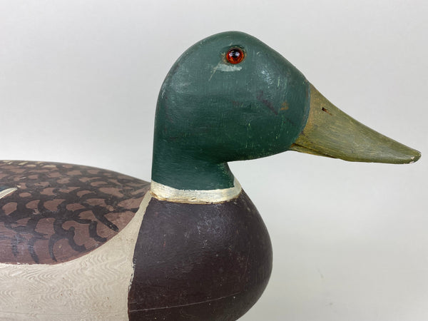 Charles Schoenheider Jr. Mallard Drake (#6588)