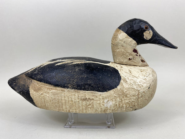 Golden Eye Found in Maine, Circa 1920's (#6633)