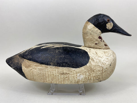 Golden Eye Found in Maine, Circa 1920's (#6633)