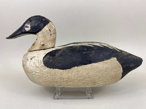 Golden Eye Found in Maine, Circa 1920's (#6633)