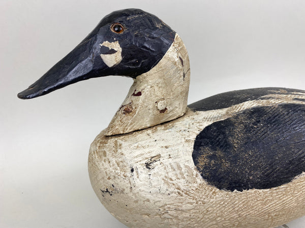 Golden Eye Found in Maine, Circa 1920's (#6633)