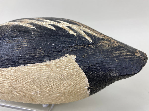 Golden Eye Found in Maine, Circa 1920's (#6633)