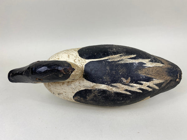 Golden Eye Found in Maine, Circa 1920's (#6633)