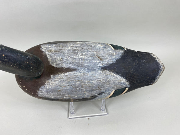 Unknown Wisconsin Mallard Drake (#6646)