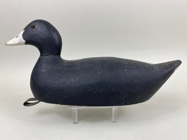 Evans Factory Coot, Circa 1930's (#6649)