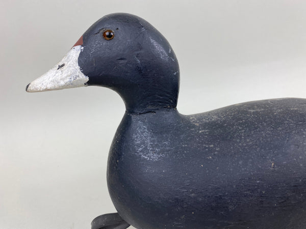 Evans Factory Coot, Circa 1930's (#6649)