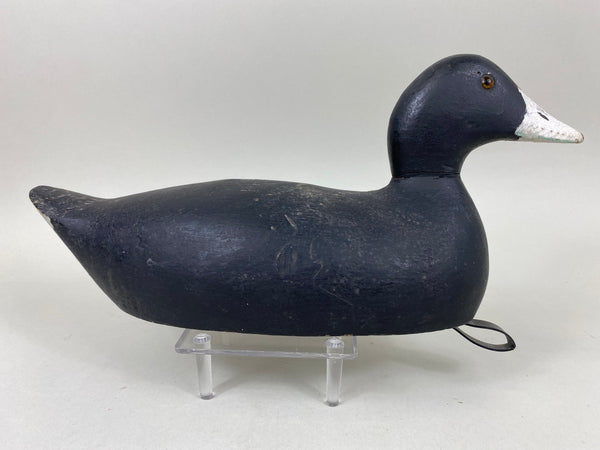 Evans Factory Coot, Circa 1930's (#6649)