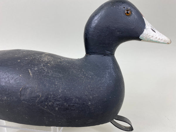 Evans Factory Coot, Circa 1930's (#6649)