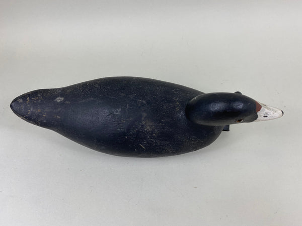 Evans Factory Coot, Circa 1930's (#6649)