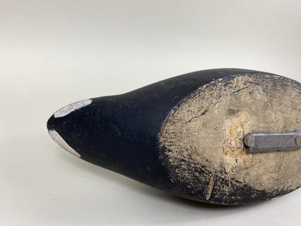 Evans Factory Coot, Circa 1930's (#6649)