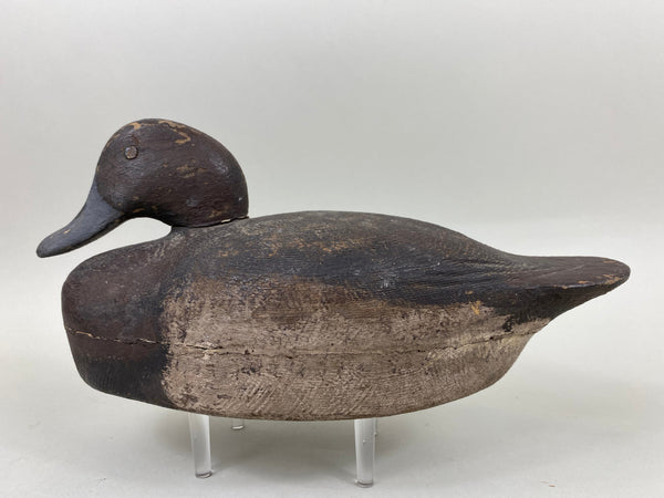 St. Clair Bluebill, Unknown, Circa 1910's (#6653)