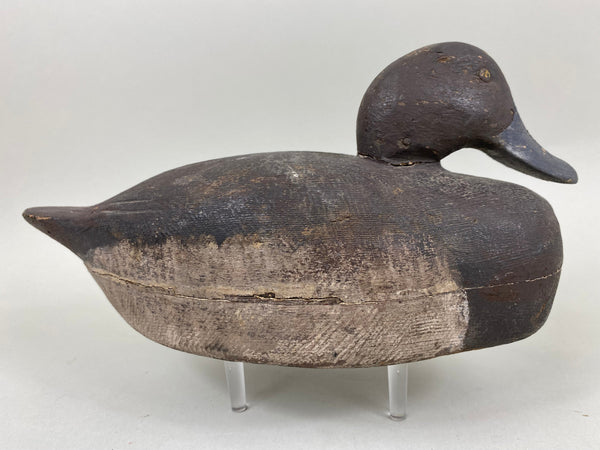 St. Clair Bluebill, Unknown, Circa 1910's (#6653)