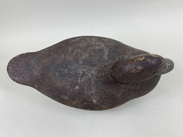 St. Clair Bluebill, Unknown, Circa 1910's (#6653)