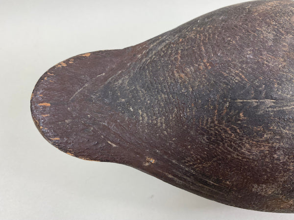 St. Clair Bluebill, Unknown, Circa 1910's (#6653)