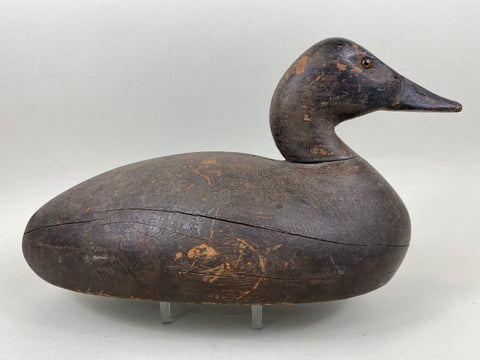 Michigan Canvasback Hen, Circa 1920's (#6662)