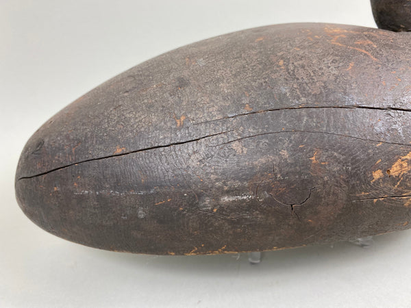 Michigan Canvasback Hen, Circa 1920's (#6662)