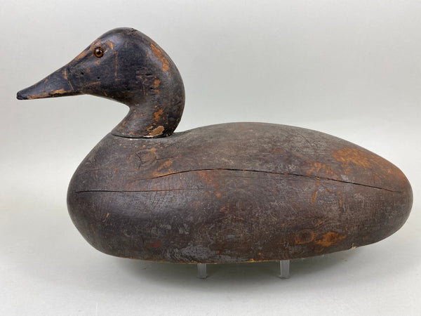 Michigan Canvasback Hen, Circa 1920's (#6662)