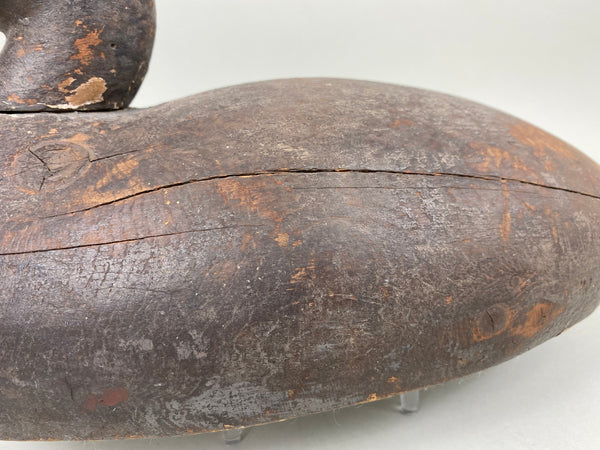 Michigan Canvasback Hen, Circa 1920's (#6662)