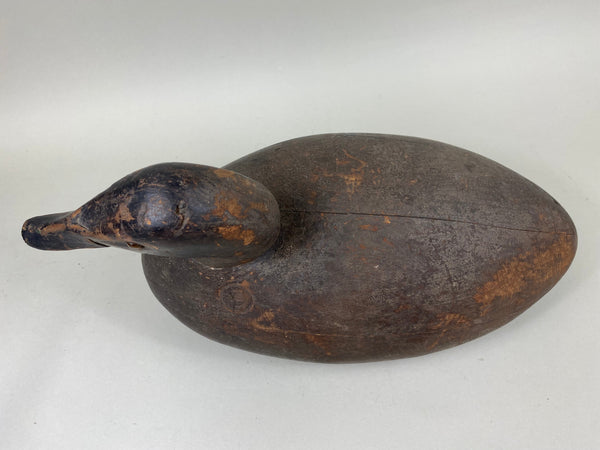 Michigan Canvasback Hen, Circa 1920's (#6662)