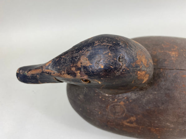 Michigan Canvasback Hen, Circa 1920's (#6662)