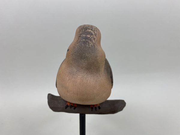 Marv Meyer Preening Morning Dove, Branded (#6670)