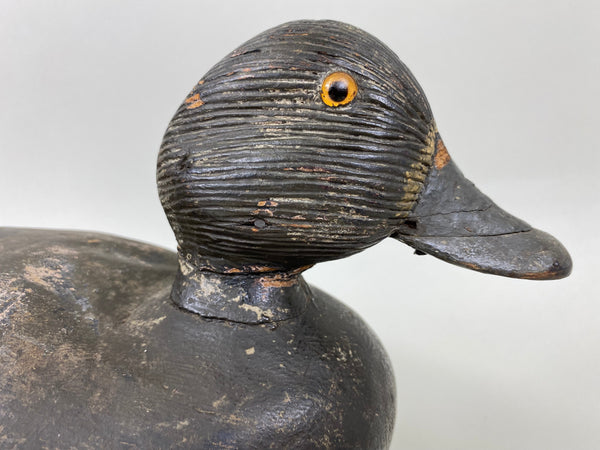 Ontario Blue Bill Hen, Mostly Original Paint (#6680)