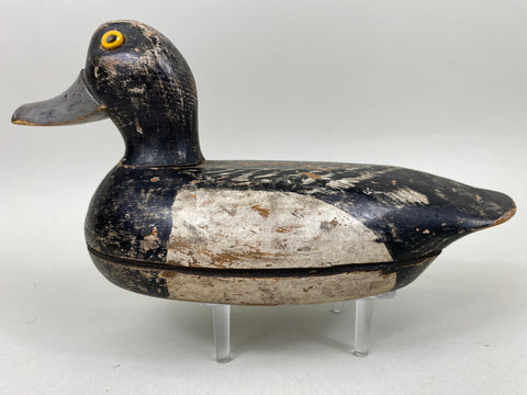 Illinois River Blue Bill, Circa 1920's (#6686)