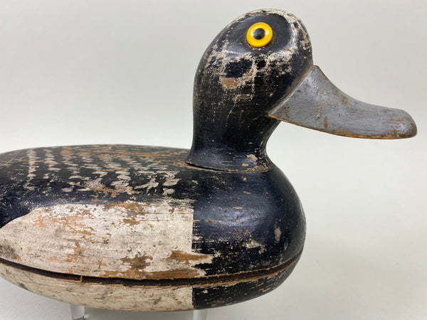 Illinois River Blue Bill, Circa 1920's (#6686)