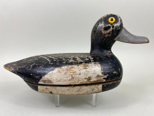 Illinois River Blue Bill, Circa 1920's (#6686)