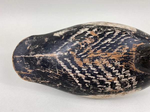 Illinois River Blue Bill, Circa 1920's (#6686)