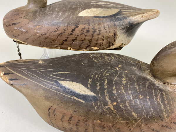 Wildfowler Old Saybrook Widgeon Rigmate Pair (#6689)