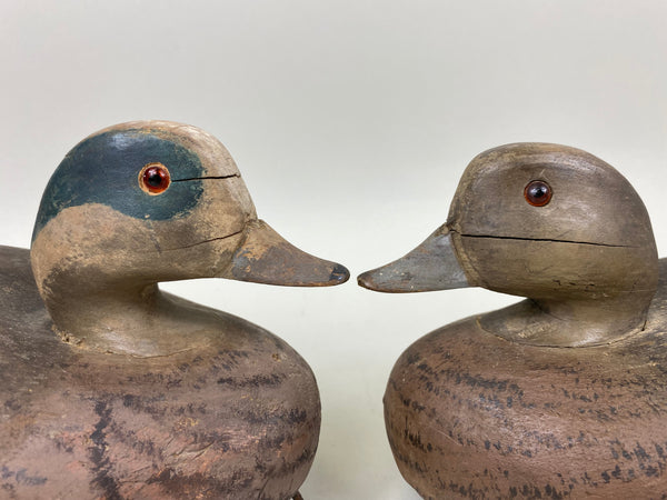 Wildfowler Old Saybrook Widgeon Rigmate Pair (#6689)