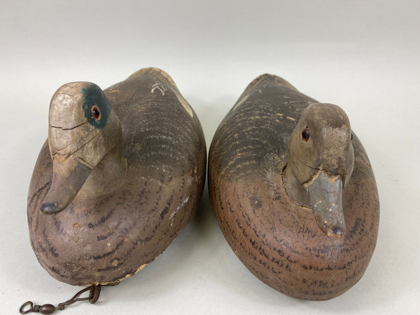 Wildfowler Old Saybrook Widgeon Rigmate Pair (#6689)