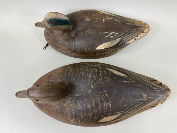 Wildfowler Old Saybrook Widgeon Rigmate Pair (#6689)